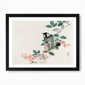 Black Capped Chickadee Art Print