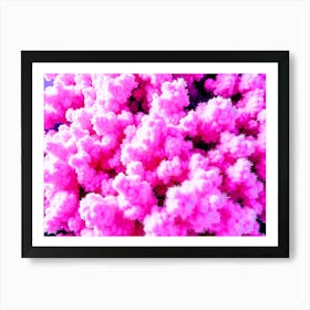 Pink Clouds In The Sky Art Print