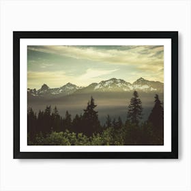 Cascade Mountain Wildflower Sunrise Art Print