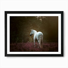 Unicorn - Bruges Belgium horse photo print - moody animal photography Art Print