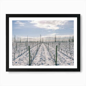 Unitltled 16 - Snow in the Vineyard Series Art Print