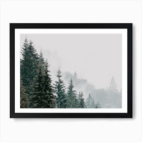 Dense Forest View Art Print