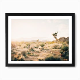 California Desert Art Print