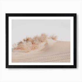 Sand Dune Grasses Art Print