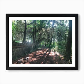 Dog Walking In The Woods Art Print