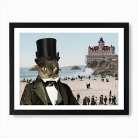 Mr Whiskers at Cliffhouse Art Print