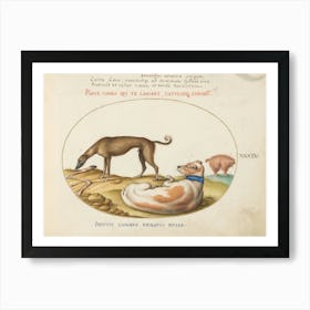 Quadervpedia Animals And Reptiles, Joris Hoefnagel (8) Art Print