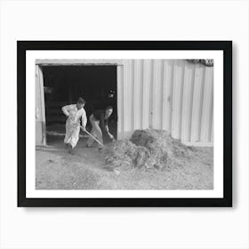 Untitled Photo, Possibly Related To Working Cowboys Cleaning Out The Stock Barns At The San Angelo Fat Stock Art Print