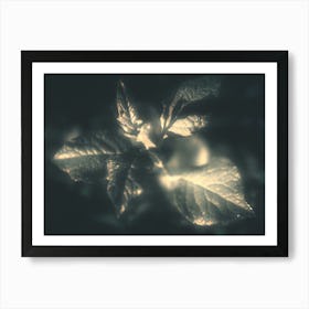 Night. Plants under the lights Art Print