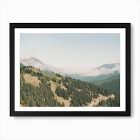 Mountain Forest View Art Print