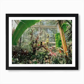 Botanical Tropical Garden  Art Print