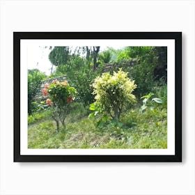 Garden 10 By Binod Dawadi Art Print