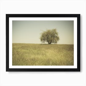 Single Tree In An Open Grassy Field Meadow Art Print