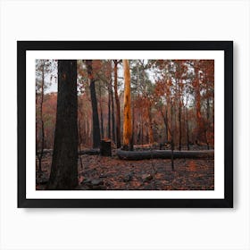 Forest Fires Art Print