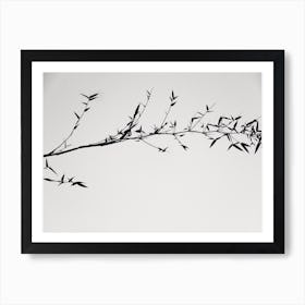 Shadow Of Tree In Black And White As Japanese Painting Lookalike Art Print