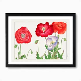 Vintage Poppy Flower, Tanigami Kônan Art Print