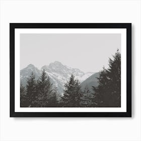 Mountain Peak Forest Art Print