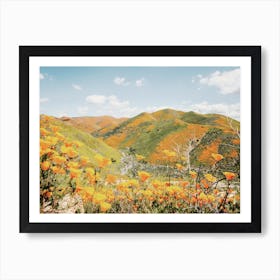 Poppy Wildflower Hills Art Print