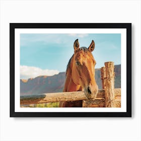 Desert Horse Art Print