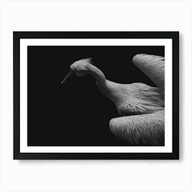 Black And White Pelican Art Print