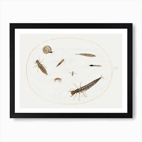 Aquatic Insects, Invertebrates And Snail, Joris Hoefnagel Art Print