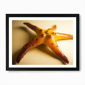 Starfish 5 Art Print