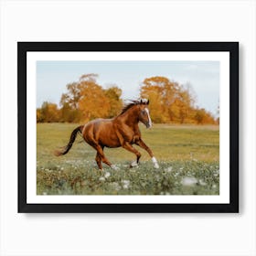 Running Horse Art Print