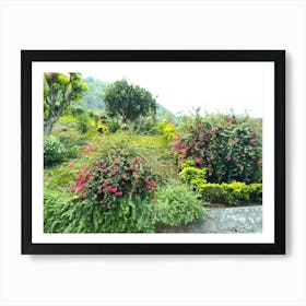 Garden 4 By Binod Dawadi Art Print