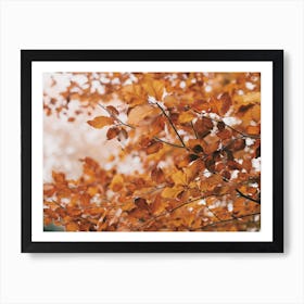 Fall Forest Trees Art Print