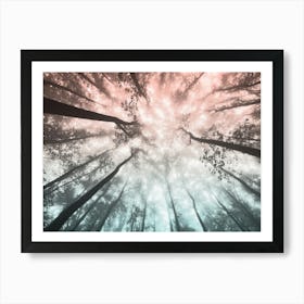 Fir Forest Pastel Dreams Art Print