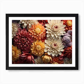 Colorful Dahlias Art Print