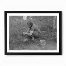 Untitled Photo, Possibly Related To Women Of A Migrant Family Peeling Potatoes Near Henrietta I E, Henryett Póster