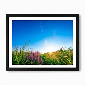 A Bright Sunrise Casting A Luminescent Glow On A Lush Countryside Garden During Summer Awash With P Art Print