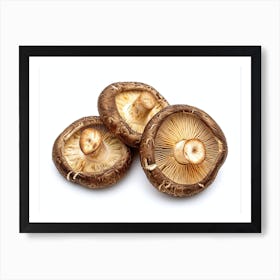 Mushrooms On A White Background 3 Art Print