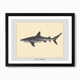 Grey Shark Silhouette 2 Poster Art Print