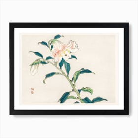 Lily, Kōno Bairei Art Print