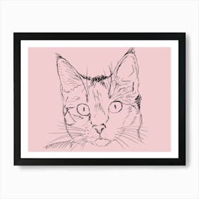 Portrait Of A Cat Art Print