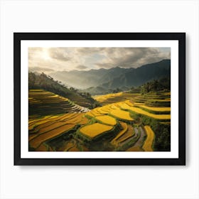 Sunset over the Rice Fields Art Print