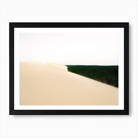 Desert Forest Art Print