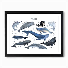 Watercolour Whales Horizontal Art Print