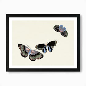 Japanese Butterfly, Cho Senshu (6) Art Print