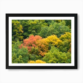 Autumn Forest 20211020 109ppub Art Print