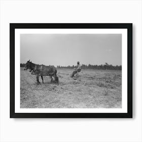 Untitled Photo, Possibly Related To Raking Soybean Hay, Lake Dick Project, Arkansas By Russell Lee Art Print