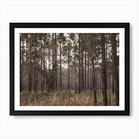 Wilderness Landscape Art Print