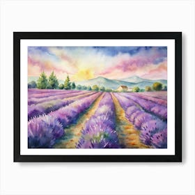 Lavender Field Art Print