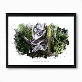 Healesville Sanctuary, Yarra Valley, Victoria Art Print