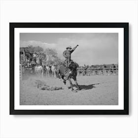 Quemado,New Mexico, Bronc Busting At The Rodeo By Russell Lee 1 Art Print