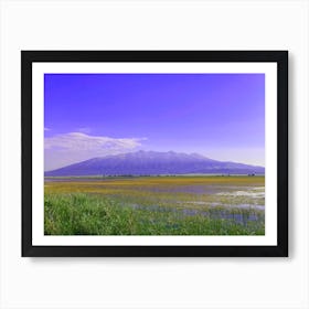 Purple Mt Blanca over Lake of Yellow Flowers Art Print