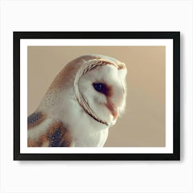 Barn Owl 10 Art Print