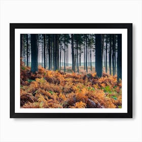 Ferns Nr Falston Art Print